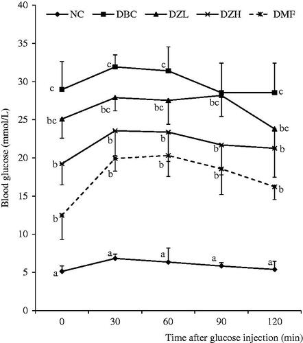 Figure 4. Oral glucose tolerance test (OGTT) for all groups of animals in the last week of experimental period. Data are presented as the mean ± SD of eight animals. a–cValues with different letters for a given time are significantly different from each other (Tukey’s-HSD multiple range post hoc test, p < 0.05). NC: Normal Control; DBC: Diabetic Control; DZL: Diabetic Ziziphus mucronata low dose (150 mg/kg bw); DZH: Diabetic Ziziphus mucronata high dose (300 mg/kg bw); DMF: Diabetic metformin; NZT: Normal Ziziphus mucronata toxicological dose (300 mg/kg bw).