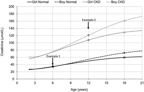 Figure 2. Individual creatinine growth projections for two hypothetical example pairs of children: (1) age 6 years and normal creatinine levels (boy 34 and girl 35 µmol/L), (2) age 12 years with elevated creatinine levels (boy 121 and girl 108 µmol/L) indicating chronic kidney disease (CKD). Adjusted creatinine for the Lund–Malmö revised equation (LMR18) is obtained by following the corresponding growth curve until age 18 years (marked with crosses).