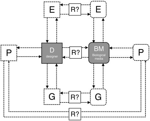 Figure 8. Diagram to illustrate the duality of designing with Biological Media where the needs of the media are matched with the objectives of the human designer with (R?) indicating interfaces where new forms of representation need to be developed.