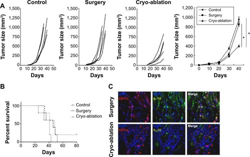 Figure 4 Cryo-ablation could delay tumor growth in tumor rechallenge and reduce the expression of IL-10 in tumor-infiltrating DCs.