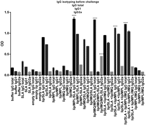 Figure 6. Levels of anti-SLA-specific total IgG,IgG1,IgG2a in pooled sera of different group of BALB/c mice immunized SC, three times in 2 week intervals, with buffer, SLA, empty Lip, Lip / SLA, Lip/MPL, Lip/IMQ, Lip/MPL/SLA, Lip/IMQ/SLA Lip/MPL/IMQ/SLA, Lip/SLA + Lip/IMQ, Lip/SLA + Lip/MPL, Lip/SLA + Lip/MPL/IMQ, and Lip/MPL/IMQ. Blood samples were collected from the mice 2 weeks after the last booster. The SLA-specific total IgG, IgG1 and IgG2a were assessed using ELISA method. The assays were performed in triplicate at 1/500 serum dilution which achieved after checkerboard planning. Values are the mean ± SD. ****p < .0001, ***p < .001 when the immunized mice compared with other groups.