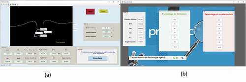 Figure 3. Medical decision support system (MDSS) interface.