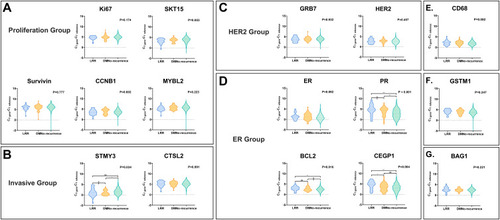 Figure 4 Distribution of single-gene expression in breast cancer patients with LRR, DM, and no recurrence in the proliferation group (A), invasive group (B), HER2 group (C), ER group (D), CD68 (E), GSTM1 (F), and BAG1 (G). *P<0.05; **P<0.01; ***P<0.001.