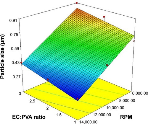 Figure 1 Response surface plot of the effect of ethyl cellulose (EC):polyvinyl alcohol (PVA) ratio (X1) and stirring rate (X2) on the particle size of the prepared nanosponges (Y1).