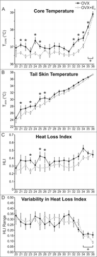 Figure 4. Effects of E2 treatment on TCORE (A), TSKIN (B), HLI (C) and HLI variability (D) in OVX mice exposed to TAMBIENT ranging from 20–36°C. A, TCORE was lower in E2 treated mice at a wide range of TAMBIENT. At 35 and 36°C the TCORE was significantly elevated in both groups. B and C, At select TAMBIENT, both TSKIN and HLI were significantly lower in OVX + E2 mice. D, At the high TAMBIENT of 34–36°C, HLI variability is reduced, reflecting constant vasodilation to dissipate body heat. n = 9 – 10 mice/group. * Significantly different OVX vs OVX+E2, p < 0.05, + Significantly different than the majority of values at the other TAMBIENT, p < 0.05.