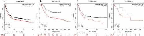 Figure 5. Prognostic value of SMAD5 expression in gastric cancer