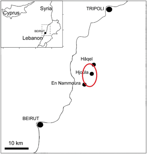 Figure 5. Schematic map of central Lebanon showing the three main fossil sites of this area, En Nammoura, Haqel and Hjoula, which are very close to each other. This is the only area (red circle) where fossils of Coccodontoidea have been found (excluding both Congopycnodus and Cosmodus).