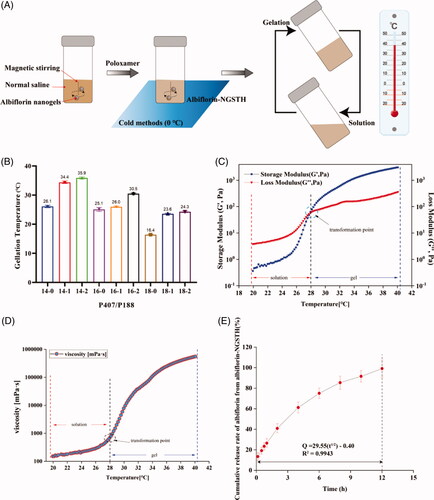 Figure 2. Preparation and characterization of albiflorin-NGSTH. (A) The preparation process of albiflorin-NGSTH. (B) Gelling temperature of the formulations. (C) Rheological analysis of the optimal prescription (P 407/P 188, 16/2). (D) Viscosity of the optimal prescription. (E) In vivo release of albiflorin-NGSTH.