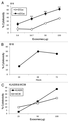 Figure 3. DCex kill tumor cells. (A) iDCex and more potently mDCex kill tumor cells. Graded amounts of purified wild type (wt) mouse iDCex and mDCex were mixed with 2,500 B16 melanoma cells. The mixtures of DCex and tumor cells were incubated for 48 h, and cytotoxicity was determined using the MTT assay. (B) Time course of DCex killing of tumor cells. Fifty micrograms of wt mDCex were co-incubated with 2,500 B16 melanoma cells, and their cytotoxic activity was determined by MTT assay after 24 h, 48 h and 72 h of the incubation. (C) DCex kill not only melanoma cells but also cancer cells. 25, 50 and 100 μg of wt mDCex were co-incubated with 2,500 KLN205 squamous cell carcinoma or MC38 colon carcinoma cells for 48 h. After this incubation, cytotoxic activity of mDCex was determined by MTT assay. Data are representative of 2 experiments performed. They are % cytotoxicity means ± SD of triplicates. Statistical significance of cytotoxicity differences of mDCex vs. iDCex is indicated by asterisks (***, p < 0.001).