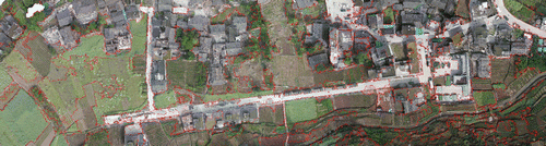 Figure 8. The optimal segmentation result of UAV image in the 2013 Ya’an earthquake. Source: Li, Tang et al. (Citation2015).