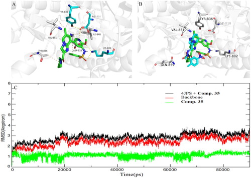 Figure 5. (A) Proposed binding mode of compound 35 to PI3Kα (4JPS). Hydrogen bonds are indicated by yellow dashed lines, and hydrophobic interactions are indicated in wheat lines. Images are generated using PyMol. (B) The overlay of compound 35 with PIK-75 in PI3Kα (4JPS). (C) Dynamics of compound 35 bound to FLT3 PI3Kα (4JPS) during 90 ns simulation time.