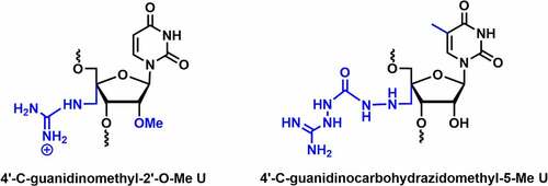 Figure 6. C4’-Guanidino containing 2’ modifications.