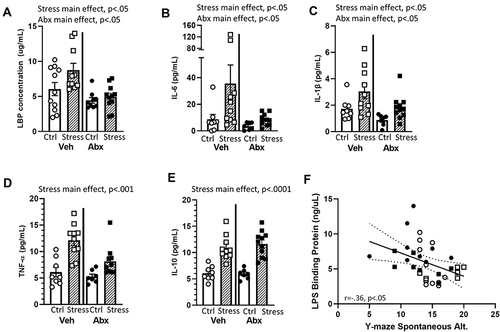 Figure 6 Stress effects on serum LBP and cytokine levels are mediated by an intact microbiome. LBP and cytokine levels were assessed in the serum after behavioral testing. Mice exposed to stress had significant increases in (A) LBP, (B) IL-6, (C) IL-1β, (D) TNF-α, and (E) IL-10 (all main effects of Stress). In addition, Antibiotics reduced (A) LBP, (B) IL-6, and (C) IL-1β (main effects of Abx). (F) In Veh and Abx-treated mice that were exposed to Stress or Ctrl conditions, LBP levels in the serum were inversely related to the percentage of spontaneous alternations on the Y maze (r = −.35, p < 0.05). n = 9–11 mice per group. Data are from 3 replicate experiments.