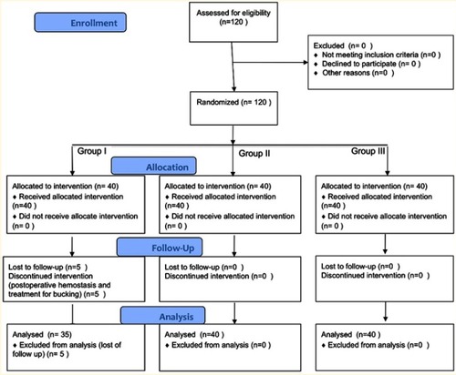 Figure 1 CONSORT flow diagram. One hundred and twenty partial laryngectomy patients were randomized. Four patients declined to participate in this study, and one patient from group I was excluded because of postoperative hemostasis complication. Group I, intravenous injection group; Group II, dripped into the tracheostomy tube group; Group III, sprayed into the tracheal incision group.