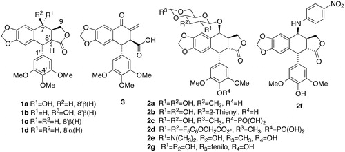 Figure 1.  Natural cyclolignans and related anticancer drugs.