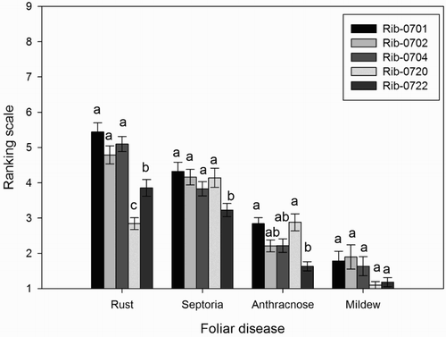 Figure 2. Mean (n = 50) scores (scale 1-9, no disease symptoms to heavy disease symptoms) of foliar diseases between black currant populations. Different letter/letters indicate significant differences (p < .05) between the populations for each foliar disease. Error bars represent ± standard error (SE) of mean.