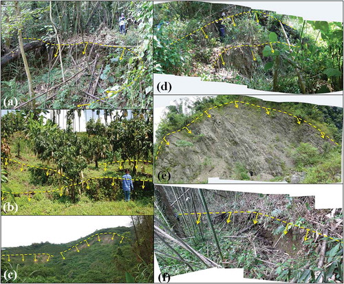 Figure 7. Field photographs of landslide scarps and potential landslide scarps hidden by vegetation in the checkpoints ((a) CP1, (b) CP7, (c) CP10, (d) CP3, (e) CP5, (f) CP6) referring to Figure 1.
