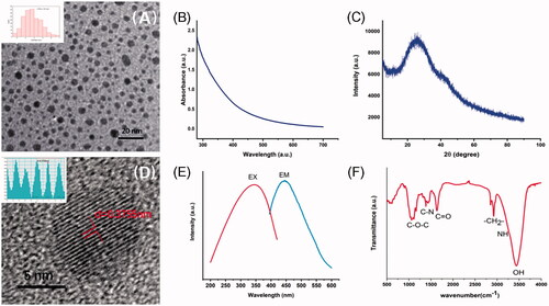Figure 1. Characterization of Schizonepetae Spica Carbonisata-derived carbon dots (SSC-CDs). (A) Transmission electron microscopy (TEM) images of SSC-CDs displaying ultra-small particles. Inset: histogram depicting particle size distribution. (B) Ultraviolet–visible (UV–vis). (C) XRD pattern. (D) High-resolution TEM image of SSC-CDs. Inset: HRTEM image of atomic lattice fringes. (E) Fluorescence spectra. (F) Fourier transform infrared spectrum.