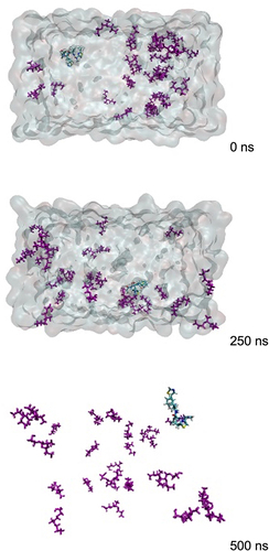 Figure 4 Molecular Motion of the Complex System During Molecular Dynamics Simulations using Solvent Evaporation Methods.