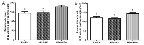 Figure 8. Folate concentrations in the (A) brain and (B) plasma of male offspring at 29 weeks post-weaning. Diet abbreviations: RV, the AIN-93G diet with the recommended vitamins; HFol, RV+10-fold the folate content. Gestational and pup diets denoted before and after the dash line, respectively. ab Brain folate: p = 0.002, n = 9–11 and plasma folate: p = 0.004, n = 13–15 by one-way ANOVA followed by Tukey’s post-hoc test. Values are mean ± SEM.