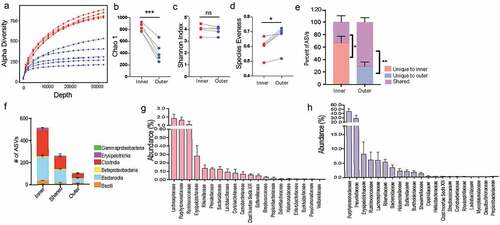 Figure 3. Inner dense community has significantly higher species richness due to presence of low abundance unique amplicon sequence variants (ASVs)