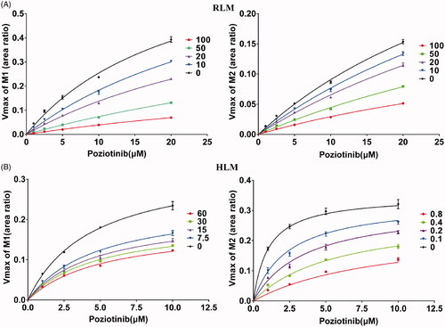 Figure 4. Michaelis–Menten kinetics of poziotinib in RLM (A) and HLM (B).