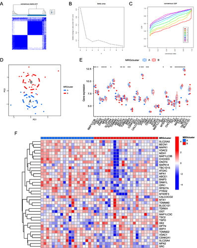 Figure 11 Determination of AF-related molecular subtypes. (A–C). Unsupervised clustering analysis of DEMRG expression in AF samples. (D) Principal component analysis among different AF types, where blue and red represent MRG cluster A and MRG cluster B, respectively. (E) Boxplot of differential DEMRG expression between different types, where blue and red represent MRG cluster A and MRG cluster B, respectively. (*P ≤ 0.05, **P ≤ 0.01, ***P ≤ 0.001). (F) Heat map showing DEMRG expression across different types. Blue and red indicate genes downregulated and upregulated in the corresponding sample, respectively. White indicates unchanged expression.
