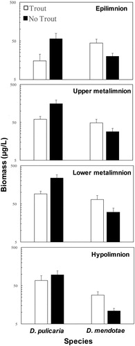 Figure 2. Mean biomass concentrations (± se) for Daphnia pulicaria and D. mendotae in discrete depth samples between trout years and moratorium (no trout) years. Daphnia pulicaria biomass concentrations increased substantially during the moratorium (particularly in the upper and lower metalimnion sampling depths), while D. mendotae biomass levels decreased at all depths during the moratorium. Data plotted on logarithmic scale.