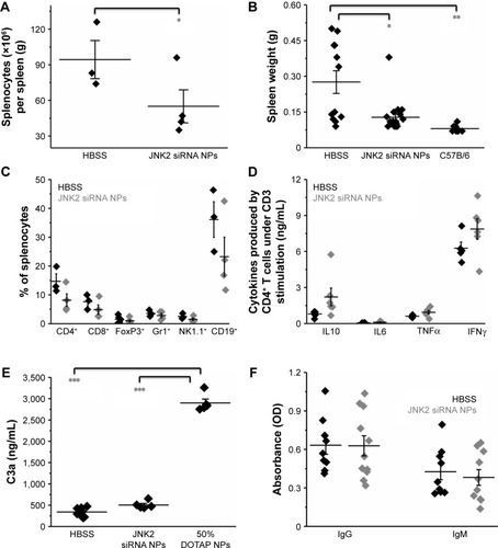 Figure 6 p5RHH-JNK2 siRNA NPs neither suppress systemic immune-cell function nor induce innate/adaptive immunoresponses.Notes: (A) After seven sequential doses of p5RHH-siRNA NPs over 3.5 weeks, spleens were extracted and splenocytes enumerated 24 hours after the last dose. ApoE−/-mice treated with p5RHH-JNK2 NPs (n=4) exhibit significantly fewer splenocytes compared to HBSS control (n=3) (P=0.02). (B) Spleen sizes of mice treated with p5RHH-JNK2 siRNA NPs (n=19) are significantly smaller than from mice with HBSS treatment (n=12, P=0.001) and approximate spleen sizes of control C57BL/6 mice (n=9, P=0.511; one-way ANOVA followed with Scheffé post hoc test). (C) Distribution of splenic immune-cell subpopulations was not affected by the p5RHH-JNK2 siRNA NP treatment (n=4) compared to HBSS control (n=3; FoxP3+ p5RHH-JNK2 siRNA NP treatment, n=6; HBBS, n=5). (D) Splenic CD4+ T cells stimulated with anti-CD3 monoclonal antibody responded normally (HBSS, n=5; p5RHH-JNK2 siRNA NPs, n=6). (E) C3a assay indicates that p5RHH-JNK2 siRNA NPs (n=5) do not activate complement (innate immune response) compared with DOTAP NPs known to activate strongly (n=5). C3a level of the mice treated with the p5RHH-JNK2 siRNA NPs is significantly smaller than those of mice treated with DOTAP NP (P<0.001) and approximates C3a level of HBSS control (n=12, P=0.06; one-way ANOVA followed with Scheffé post hoc test). (F) IgM and IgG specific for serial p5RHH-JNK2 siRNA NP treatment (n=11) were not detected in mouse serum, indicating that treatment does not elicit adaptive immunoresponse (HBSS control, n=9, unpaired two-sided Student’s t-test used for statistical analysis). Data presented in dot plots with means ± SE. *P<0.05; **P<0.01; ***P<0.001.Abbreviations: ANOVA, analysis of variance; DOTAP, 1,2-dioleoyloxy-3-(trimethylammonium)propane; HBSS, Hanks’ Balanced Salt solution; NPs, nanoparticles; SE, standard error.