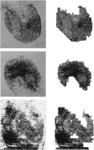 Figure 10. Result of proposed segmentation technique on latent fingerprints from IIIT-D latent database. Left column contains input images and right column their corresponding segmented image.