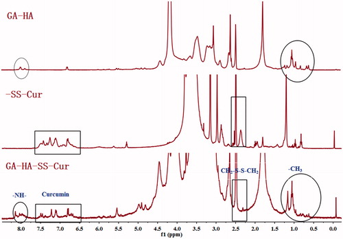 Figure 3. The 1H-NMR spectra of GA-HA-SS-Cur.