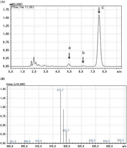 Figure 4. High-performance liquid chromatography-mass spectrometry analysis of the ubiquinone fraction of SF7N. (A) Chromatogram of absorbance detected at 275 nm. Peak a, ubiquinone-8; peak b, ubiquinone-9; peak c, ubiquinone-10. (B) Mass spectrum of peak b.