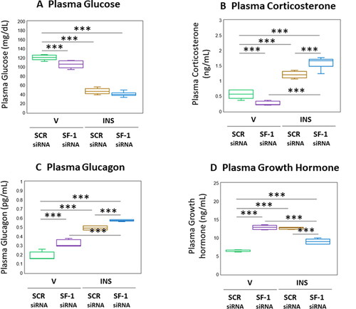 Figure 6. Effects of VMN SF-1 gene knockdown on plasma glucose and Counter-Regulatory hormone profiles in Eu- or hypoglycemic male rats. Plasma samples were obtained from groups of SF-1 or SCR siRNA-pretreated male rats one hour after sc injection of V or INS, and analyzed for glucose (A), corticosterone (B), glucagon (C), or growth hormone (D) concentrations. In each panel, individual treatment group data depict mean plasma concentrations ± S.E.M. for n = 6 samples. Data were analyzed by two-way ANOVA and Student-Neuman-keuls post-hoc test, using GraphPad prism, vol. 8 software. *p < 0.05, **p < 0.01, ***p < 0.001.
