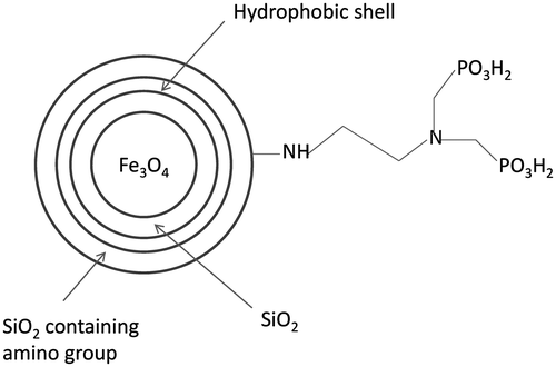 Figure 2. Schematic diagram of the structure of acid-resistant magnetic Fe3O4 nanoparticles.