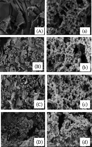 Figure 6. SEM micrographs of the FMB with MHMP. (A) without MHMP (B) 0.2% MHMP (C) 0.4% MHMP (D) 0.6% MHMP at scale 1000× (a) without MHMP (b) 0.2% MHMP (c) 0.4% MHMP (d) 0.6% MHMP at scale 10000×.