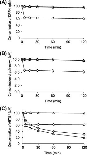 Fig. 2. Time courses of DPPH radical (A)-, galvinoxyl radical (B)-, and ABTS•+ (C)-scavenging reactions of ascorbigen, ascorbic acid, and AA-2G.Notes: Ascorbigen (Display full size), ascorbic acid (○), and AA-2G (Display full size) (each 20 μM) or control (∆) and DPPH radical (100 μM) were incubated at room temperature in 60% ethanol/40% citrate buffer (10 mM, pH 6). Ascorbigen, ascorbic acid, and AA-2G (each 2 μM) or control and galvinoxyl radical (10 μM) were incubated at room temperature in 60% ethanol/40% citrate buffer. A sample (20 μM) or control and ABTS•+ (100 μM) were incubated at room temperature in citrate buffer (50 mM, pH 6). Changes in the remaining radicals were measured at the indicated times. Each value is the mean ±SD of three separate experiments. Absence of the SD bar means that the SD bar is within the symbol.