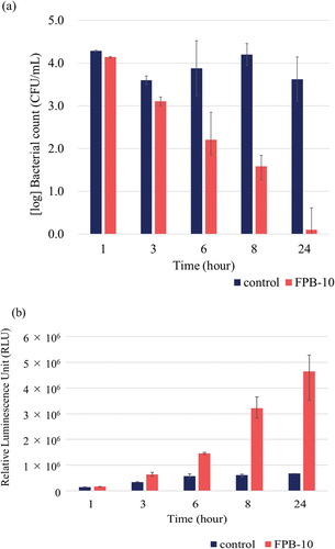 Figure 8. Antibacterial property of FPB-10. (a) Antibacterial evaluation test against E. coli. (b) Reactive oxygen species (ROS) production by E. coli in response to the control and FPB-10. Error bars are standard error.