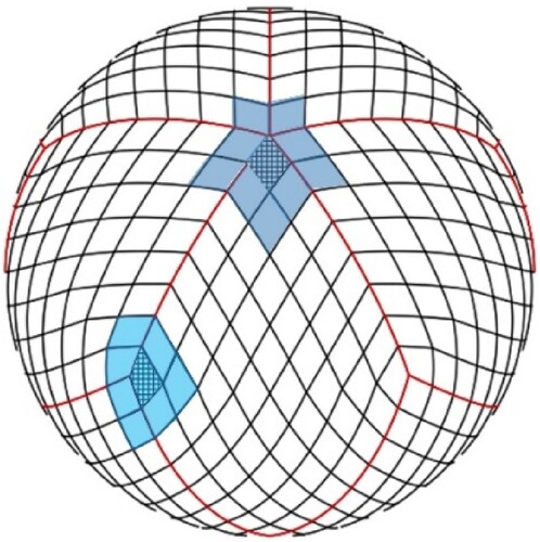 Figure 8. There are nine adjacent cells and seven adjacent cells distributed around the vertices of the initial subdivision of the icosahedral diamond grid. The red line is the initial diamond, and the black line is level 3 the icosahedral diamond grid.