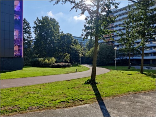 Figure 4. Footpaths meander through the high-rise buildings and green areas (Photo by first author).