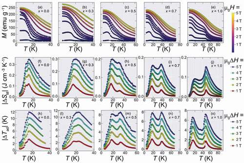 Figure 4. M-T curves at a vast range of applied fields and obtained magnetic entropy change for Ho1-xDyxB2 alloys. (a-e) The obtained M-T curves measured by ZFC process from µ0H = 5 T to 0.01 T. (f-j) Magnetic entropy changes for Ho1-xDyxB2 alloys for µ0ΔH ranging from 1 to 5 T obtained from the M-T curves of (a-e). (k)-(o) Estimated adiabatic temperature change for Ho1-xDyxB2 alloys for µ0ΔH ranging from 1 to 5 T [Citation21]. With the increase of Dy content, the maximum value of |ΔSM| decreases from 0.35 J cm−3 K−1 (x = 0) to 0.16 J cm−3 K−1 (x = 1.0)