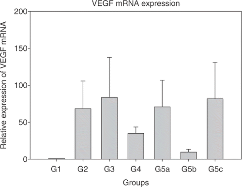 Figure 1. Relative expression of mRNAs in the treated groups 2–5c normalized to group 1 (each bar represents samples from five mice each in triplicate ± SEM). (a) Interleukin-12 (IL-12); (b) Interferon-γ (IFN-γ); (c) Interferon inducible protein-10 (IP-10); (d) Plasminogen activator inhibitor (PAI-1); and (e) Vascular endothelial growth factor (VEGF). Group 1: Normal saline injection, Control. Tumour and tissue samples collected at the same time as treatment group (5 days post-HT); Group 2: Ad LacZ + HT. Tumour and tissue samples collected 5 days post-HT; Group 3: AdhspmIL-12, no HT. Tumour and tissue samples collected at the same time as treatment group (5 days post- HT); Group 4: Normal saline injection, HT only. Tumour and tissue samples collected 5 days post-HT; Group 5: AdhspmIL-12 + HT (Group 5a: tumour sampled 6 h post-HT; Group 5b: tumour sampled 24 h post-HT; Group 5c: tumour sampled 5 days post-HT).
