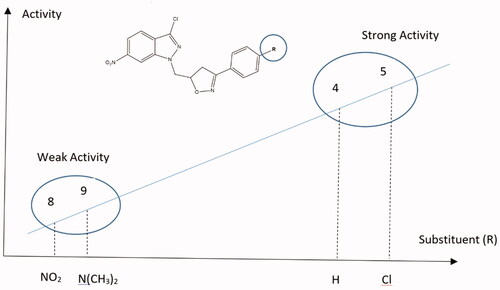 Figure 5. The role of the substituent functional groups on SAR of the synthesised compounds.
