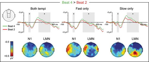 Figure 7. Quaternary meter ERPs, weak beats. Top: Grand average ERPs elicited by metrically weak beat four, which immediately precedes a strong beat, and metrically weak beat two, which does not. ERP waveforms are shown averaged over medial anterior and central electrode sites. The N1 (80–115 ms) and LMN (250–450 ms) time windows are highlighted, and beat position main effect significance is indicated for each time window (* = p < 0.05, ns = p ≥ 0.05, – = test not motivated by higher-order tempo interaction). Bottom: Topographical contrast maps show the scalp distributions of beat four vs. beat two mean amplitude differences within the N1 and LMN time windows. All contrast maps are plotted using the same color axis range