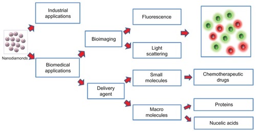 Figure 6 A schematic representation of the applications of the nanodiamonds.