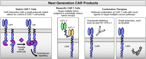 Figure 5. Major future directions in the development of next-generation CAR products. CAR: chimeric antigen receptor; PD-1: programed death receptor; PD-L1: programed death receptor ligand; scFv: single chain variable fragment.
