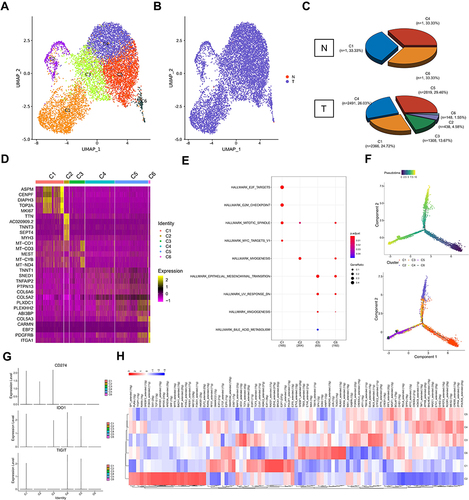 Figure 2 Distinct clusters of malignant cells in testicular ERMS. (A and B) Six main malignant cell subclusters were identified by UMAP analysis. (C) The percentage of assigned cell types are summarized in normal and tumor tissues. (D) Heatmap of specific markers in each cell type. (E) The pathway enrichment of GSEA of the 9 hallmark gene sets in MSigDB database among the six subclusters. (F) Pseudotime was colored in a gradient from dark to light blue. The start of pseudotime is indicated by dark blue, the end of pseudotime by light blue (upper). Pseudotime trajectory of 6 subclusters was generated by Monocle2 (lower). (G) The key genes expression of immune checkpoint in 6 subclusters. (H) SCENIC analysis of 6 subclusters.