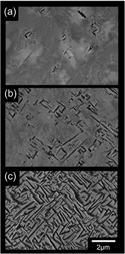 Figure 9. Backscatter electron SEM micrographs moving down through the transition region as the α volume fraction increases: (a) (b) (c) taken at the marked locations in Fig. 5.