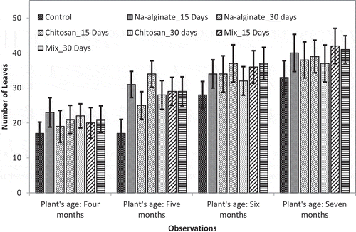 Figure 2. Effects of radiation-processed alginate, chitosan, and mixture solution on number of leaves of pineapple plants