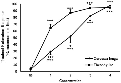 Figure 6. Concentration-response relaxant effect (mean ± SEM) of C. longa (n = 8) and theophylline (n = 6) on KCl (60 mM) -induced contraction of rat tracheal smooth muscle in non-incubated (n = 9) tissues. ***: p < 0.001 compared to saline. +++: p < 0.001, +: p < 0.05 compared to the effect of theophylline. Statistical comparison was performed using ANOVA with Tukey Kramer post-test.