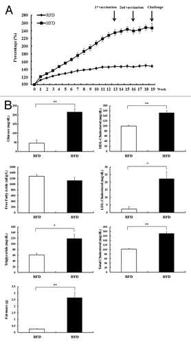 Figure 1. High fat diet (HFD)-induced obese mice on body weight, body fat mass, and glycemic markers. (A) Body weight was determined for 13 wk with RFD and HFD (mean ± SD; n = 3). *P < 0.05. (B) Glycemic markers (glucose, LDL-cholesterol, HDL-cholesterol, free fatty acid [NEFA], total cholesterol, and triglyceride) in serum and body fat mass were determined at 13 wk in RFD and HFD mice (mean ± SD; n = 3). *P < 0.05. **P < 0.01.